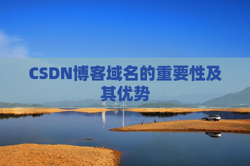 CSDN博客域名的重要性及其优势